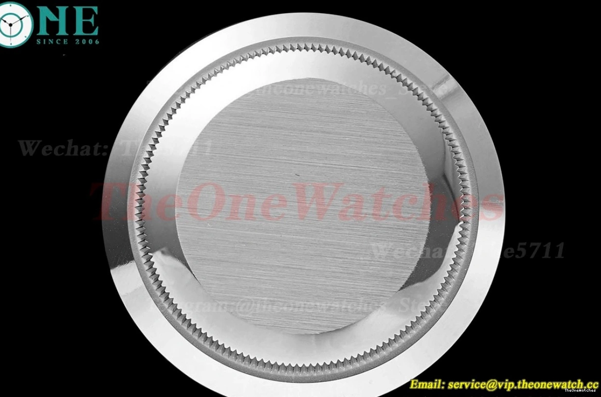 DayDate 40mm Heavy GSF SS (Tungsten 228349 SS Version) A3255 Grey Pres Stk 0309